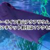 シーライフ釜山アクアリウム！料金は？チケット割引は？アクセスは？