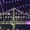 広安大橋！ライトアップ！釜山！おすすめ夜景スポット！