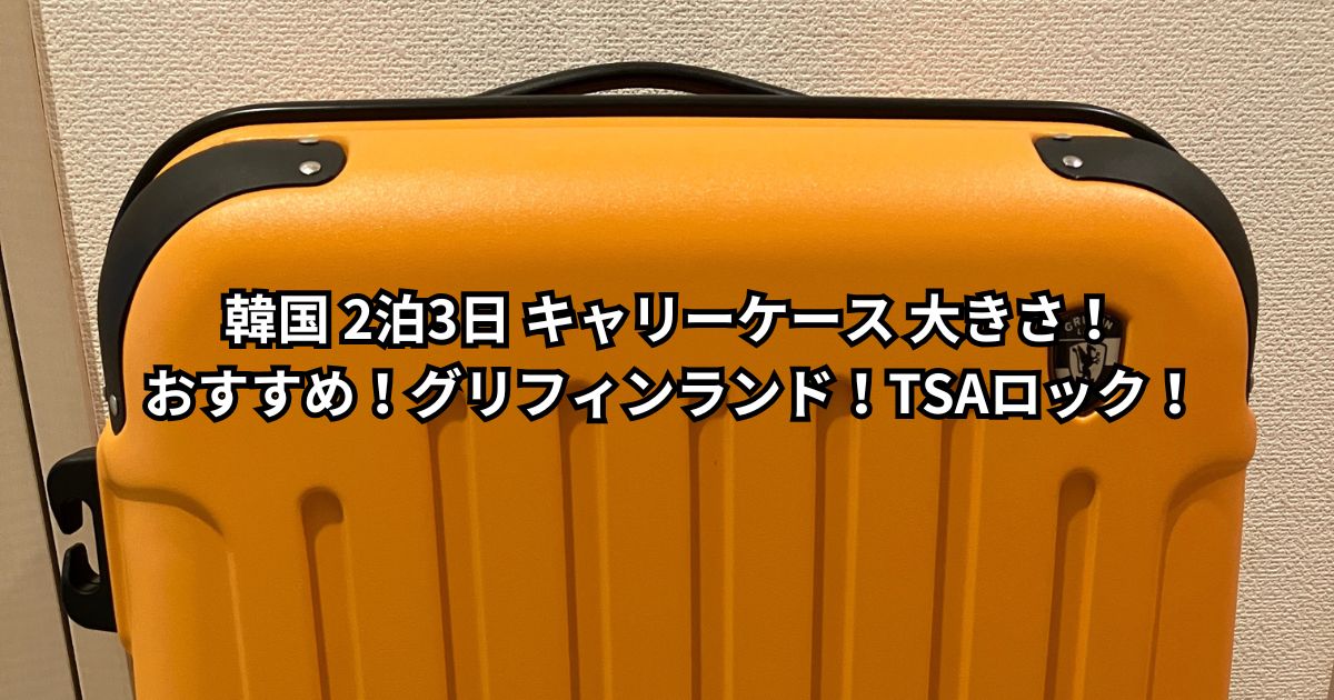 韓国 2泊3日 キャリーケース 大きさ・サイズ！おすすめ！グリフィンランド！TSAロック！